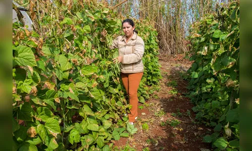 Especial aniversário: agroindústria de laticínios abastece a região
