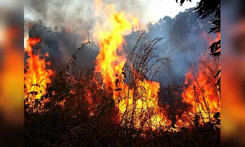 Desmatamento da Amazônia cai pelo terceiro mês consecutivo, mas queimadas sobem