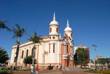 Especial aniversário: Arapongas é a única cidade do Brasil onde ruas têm nomes de pássaros