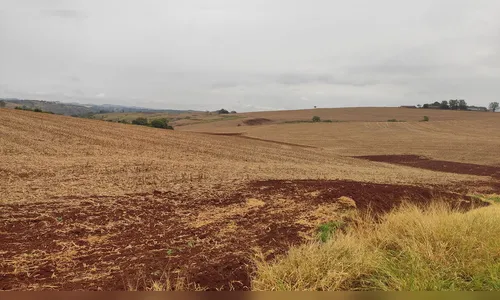 Chuva anima produtores para plantio de soja no Vale do Ivaí