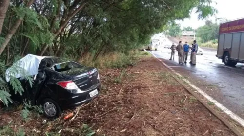 Homem morre após bater em arvore em Londrina