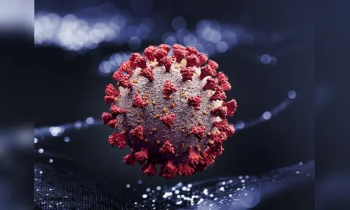 Paraná tem mais 1.818 novos casos confirmados de coronavírus