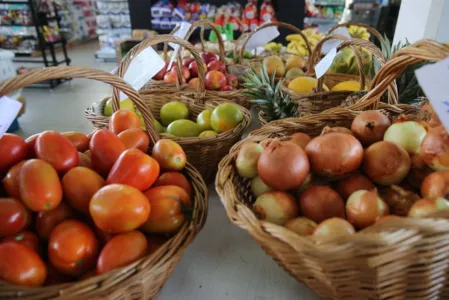 Paraná promove ações contra o desperdício de alimentos