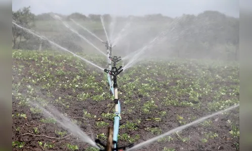 Implantação de sistema híbrido para irrigação é um marco para o agronegócio