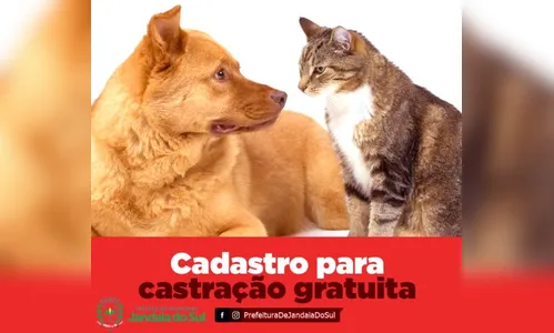 Prefeitura de Jandaia do Sul realizará castração gratuita de cães e gatos