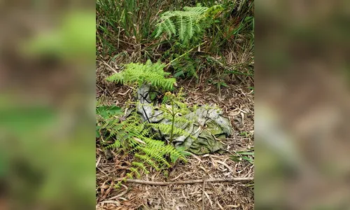 Polícia Civil de Curitiba investiga cemitério que seria usado por criminosos