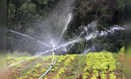 Produção de alimentos também precisa de mais chuva