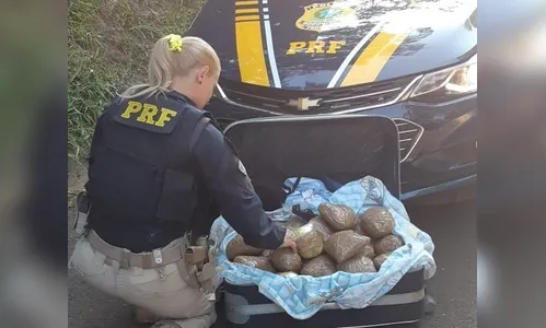 PRF apreende mais de 10 quilos de skunk na mala de um carona