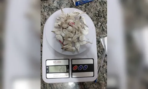 Pai é suspeito de usar filha para vender drogas em Apucarana