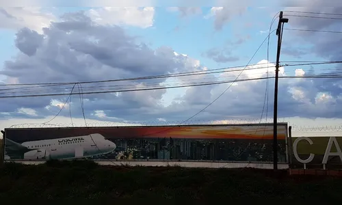 Avião atinge rede elétrica durante pouso e aterrissa fora da pista