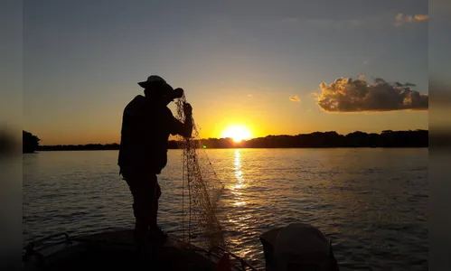 Resolução determina proteção de peixes nativos