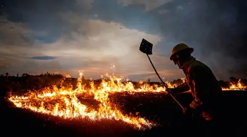 Ibama manda recolher todos agentes de combate a incêndios por falta de recursos