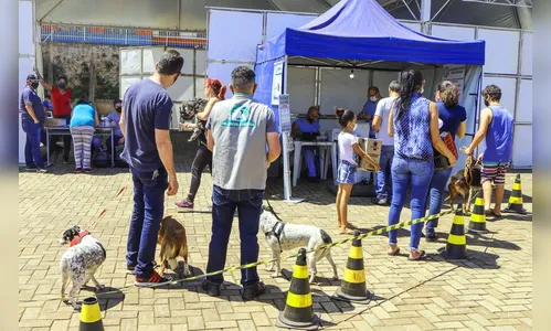Governo Estadual promove mutirão de castração em Apucarana