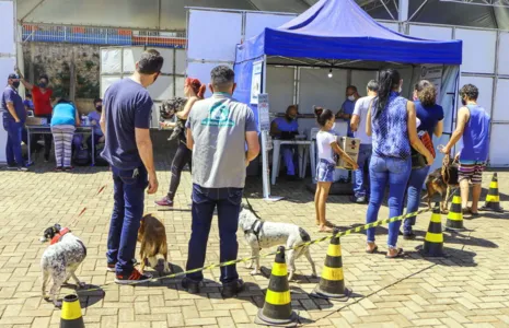 Governo Estadual promove mutirão de castração em Apucarana