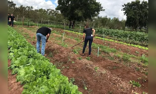 Projeto de colégio agrícola estadual é finalista de prêmio científico nacional