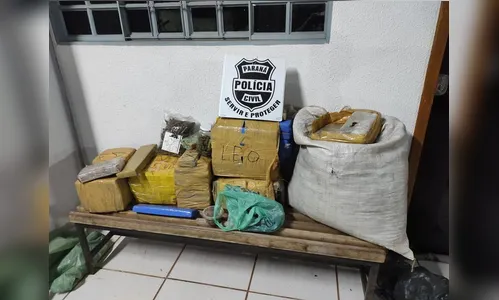 Festa no Paraná acaba com cinco presos e com 100 quilos de maconha apreendidos