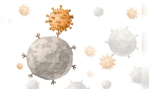 Paraná confirma 1.309 novos casos da Covid-19