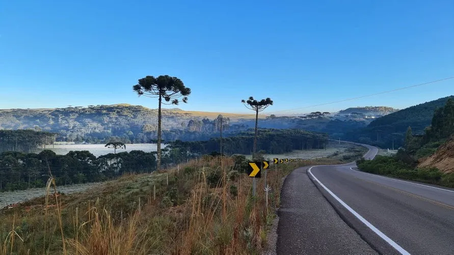 Cidades catarinenses amanhecem com temperaturas abaixo de 0º C; Fotos