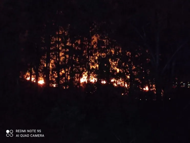 Incêndio de grandes proporções atinge vegetação na região do Parque da Raposa; vídeo