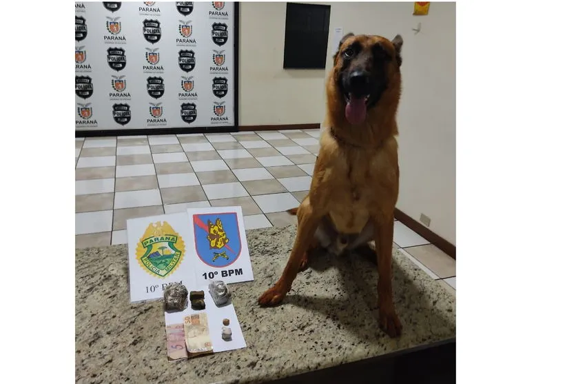 Cão da PM encontra drogas e traficante de 18 anos é preso