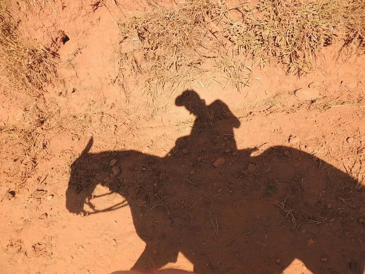Homem amarra cavalo em terreno e encontra corpo