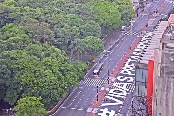 Avenida Paulista amanhece com a pintura #Vidas Pretas Importam