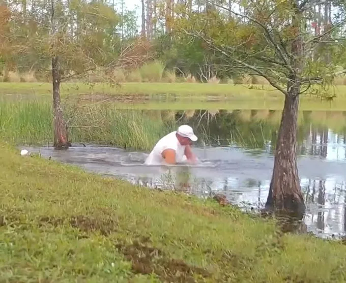 Idoso de 74 anos luta contra crocodilo para salvar cachorro; assista