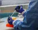 Ivaiporã tem mais 10 casos positivos de Covid-19, nesta sexta-feira  (30)