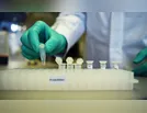 Ivaiporã não registra casos da Covid-19, neste sábado (21)