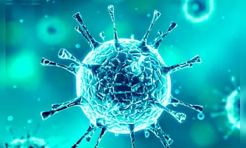 Arapongas registra nove casos de Covid-19