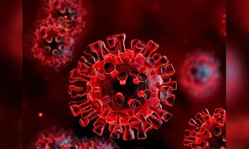 Arapongas registra 15 novos casos de Covid-19 nesta segunda