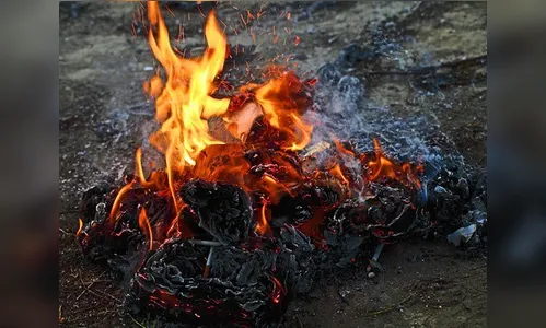Vizinho ateia fogo em mato no quintal e PM de Apucarana é chamada