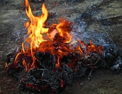 Vizinho ateia fogo em mato no quintal e PM de Apucarana é chamada