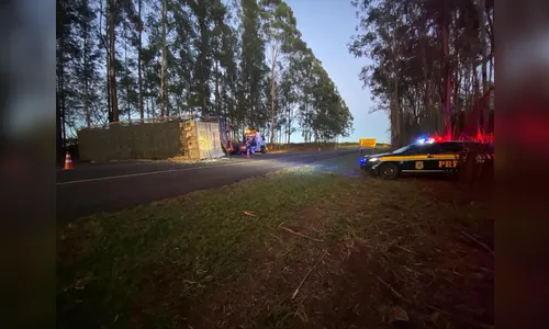 Caminhão de transporte de frangos tomba na BR-376