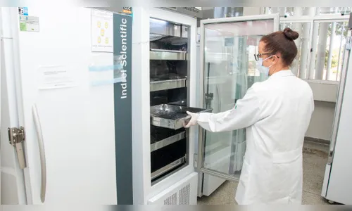 Doações de sangue caem 26% na região durante a pandemia