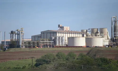 Exportações da região somam US$ 114 mi