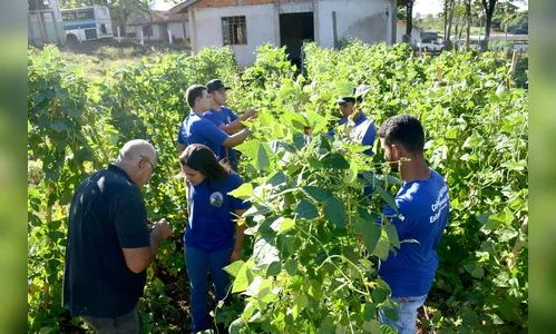 Colégio Agrícola abre inscrições para 4 cursos técnicos
