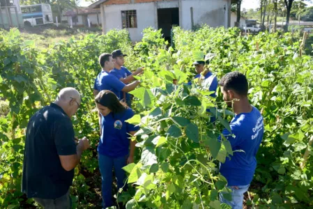 Colégio Agrícola abre inscrições para 4 cursos técnicos