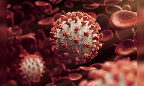 Arapongas registra 11 novos casos de Covid-19 e 18 curados