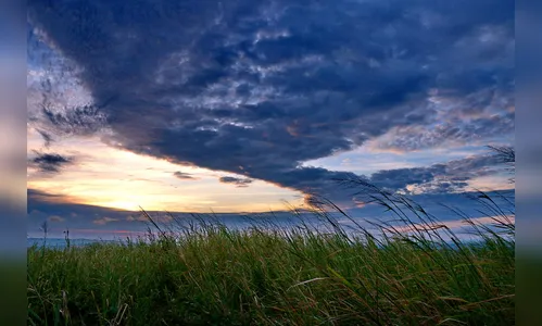 Sexta-feira será de sol entre nuvens em Apucarana; pode haver pancadas de chuva