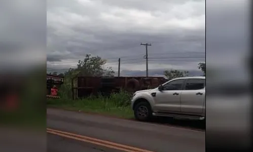Caminhão carregado de madeira tomba na rodovia entre Arapongas e Sabáudia