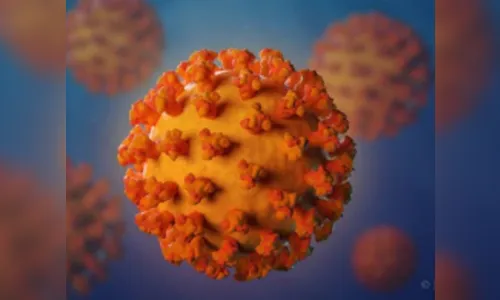 Arapongas registra óbito por covid e 15 novos casos