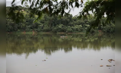 Período da piracema começa neste domingo e vai até fevereiro
