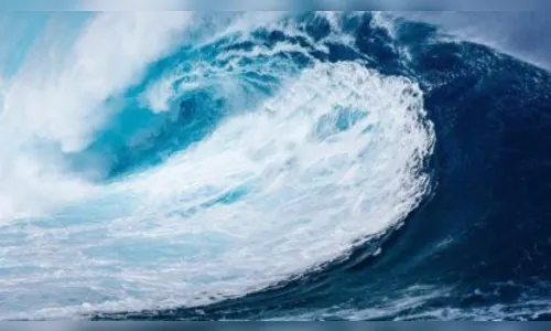 Tsunami atingiu Santa Catarina, confirma Epagri