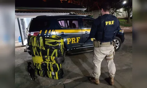 PRF encontra 159 kg de maconha em fundo falso de caminhão