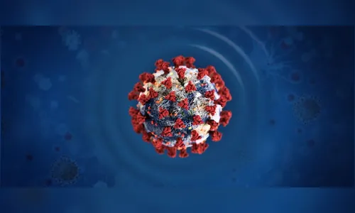 Apucarana atinge marca de 50 mortes por covid e 14 novos casos