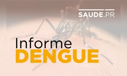 Sobe para cinco o número de mortes por dengue desde agosto