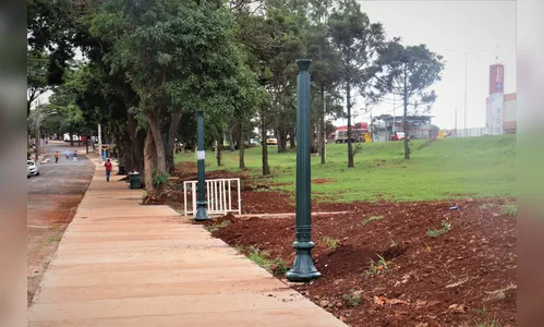 Após calçamento, Rua Japuíra recebe postes de iluminação