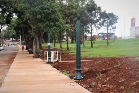 Após calçamento, Rua Japuíra recebe postes de iluminação