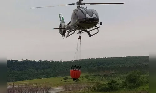 Copel alerta sobre incêndios em áreas de preservação de Usinas